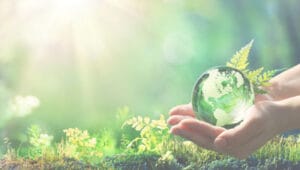 Managementkommentar Titelbild - Waldboden mit grüner Erdkugel in der Hand